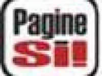Logo Pagine SI